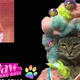 Illustration for article titled RuPaw’s Drag Race serves up feline fishiness eleganza